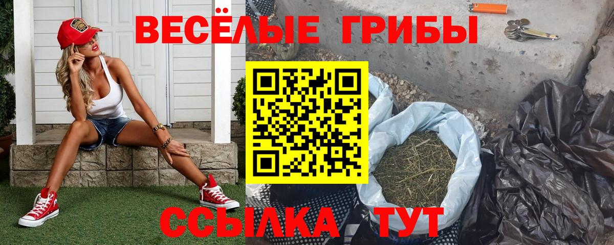 Галлюциногенные грибы GOLDEN TEACHER  Вход с VPN  Нижнеудинск 